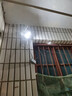 奧克斯高清室外攝像頭防水手機遠程無(wú)線(xiàn)wifi監控器360度無(wú)死角云臺旋轉無(wú)死角4g網(wǎng)絡(luò )全景語(yǔ)音對話(huà)戶(hù)外 曬單實(shí)拍圖