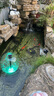 森森（SUNSUN）魚(yú)池過(guò)濾器魚(yú)缸過(guò)濾桶水池循環(huán)設備池塘過(guò)濾系統 CPF適合3立方水過(guò)濾套餐【帶水泵全套】 曬單實(shí)拍圖