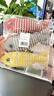 HELLOJOY貓玩具自嗨解悶貓薄荷仿真魚(yú)神器麻布魚(yú)逗貓磨牙寵物玩具 三條裝 曬單實(shí)拍圖