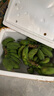 廣西小米蕉小香蕉自然熟迷你香蕉蘋果蕉小芭蕉新鮮水果特產(chǎn)雞蕉 小米蕉 5斤 泡沫箱打包 曬單實(shí)拍圖