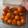 京喜加夏日陽光小番茄黃色迷戀圣女果即食水果小柿子現(xiàn)摘現(xiàn)發(fā)減肥 黃色圣女果三斤裝 曬單實拍圖