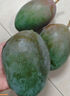 京鮮生 攀枝花凱特芒果 凈重3斤 帶箱3.5斤 單果400g+ 生鮮水果源頭直發(fā) 曬單實(shí)拍圖