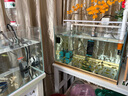德彩德國(guó)進(jìn)口七彩神仙魚專用顆粒魚飼料慈鯛三湖天然增色熱帶魚糧魚食 小型魚增色顆粒250ML/112g 曬單實(shí)拍圖