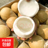 泰國進(jìn)口奶香椰皇丹嫩沙多香水椰煲雞湯老椰子新鮮水果-佳堯 泰國椰皇9個裝高性價比送軟刀 特大果500g-600g 曬單實拍圖