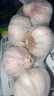 大蒜精裝出口蒜出蔬菜水果調(diào)料牛肉生蠔小龍蝦食材 出口標(biāo)準(zhǔn)網(wǎng)兜裝袋5頭 110g 中果直徑4cm 曬單實(shí)拍圖