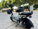 立馬【七夕禮物】電動自行車小叮當(dāng)70公里續(xù)航電動車48V20Ah鉛酸電池電瓶車LED透鏡大燈新國標(biāo)  青巖綠 曬單實拍圖