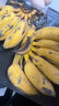 正宗蘋(píng)果蕉banana香蕉新鮮水果9斤蘋(píng)果粉蕉自然熟當季小米芭蕉 3斤 曬單實(shí)拍圖