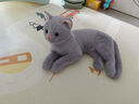 樂(lè )卡利 仿真藍貓咪英短毛絨玩具玩偶公仔布娃娃國慶中秋節禮品生日禮物 仿真藍貓 【36cm】 曬單實(shí)拍圖