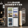 榮事達(dá)（Royalstar）211升一級能效風(fēng)冷無霜雙門小型電冰箱保鮮節(jié)能省電低噪家用出租房宿舍國家補(bǔ)貼鈦深灰R211F 曬單實拍圖