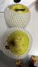 冰糖雪梨10斤應(yīng)季水果新鮮特級梨子河北雪花梨趙縣秋梨膏整箱包郵 凈重5斤【中果】現(xiàn)摘現(xiàn)發(fā) 曬單實拍圖