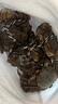 【活蟹】蟹叁鉗莊 全母2.3-2.6兩 8只 現(xiàn)貨大閘蟹鮮活六月黃鮮活螃蟹中秋禮盒源頭直發(fā) 曬單實拍圖