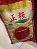 顧邁陶粒養花用花盆鋪面石頭裝飾顆粒土營(yíng)養液透氣花卉植物基質(zhì)育苗塊 中號空心陶?！?斤】 曬單實(shí)拍圖