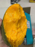 沁煦【嚴選】正宗四川攀枝花凱特芒果大青皮芒果當季新鮮水果禮盒裝 5斤【嚴選大果禮盒裝】 單果500-700g 曬單實(shí)拍圖