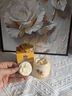 儒意（RUYI）黃芪霜80g老國貨去黃提亮緊致抗皺舒緩補水保濕面霜男女士護膚品 曬單實(shí)拍圖