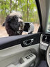 車(chē)麗友 專(zhuān)用于沃爾沃XC90 S60 XC40 V60 S90沃爾沃XC60汽車(chē)腳墊TPE TPE腳墊【全包門(mén)檻】+慕絨絲黑（耐臟耐磨） 沃爾沃XC60（18-25款）燃油 曬單實(shí)拍圖