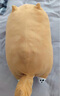 名創(chuàng  )優(yōu)品（MINISO）柴犬系列毛絨公仔趴姿玩具娃娃抱枕睡覺(jué)室內臥室辦公室生日禮物 曬單實(shí)拍圖