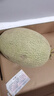 京鮮生 西州蜜哈密瓜 凈重8-9斤2-4粒 源頭直發(fā) 包郵  曬單實(shí)拍圖