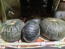 甜萌果蔬山東貝貝南瓜板栗香味小南瓜香甜粉糯寶寶輔食美味新鮮南瓜蔬菜 凈重4.5- 5斤 甄選裝【單果約3兩+】 曬單實拍圖