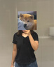 森馬（Semir）短袖t恤女涼感抗菌正肩修身2025夏顯瘦V領(lǐng)白色打底衫109325100002 曬單實拍圖
