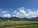 婷美（GRACEWELL）高腰收腹褲女懸浮提拉強力收肚子無(wú)痕提臀束腰產(chǎn)后塑形褲 黑色XL 曬單實(shí)拍圖