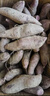 果淳樂軟糯香甜 紫薯 新鮮10斤蜜薯批發(fā)紫羅蘭紅薯地瓜蔬菜 紫薯   帶箱9-10斤精選裝 曬單實拍圖
