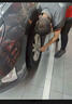固特異（Goodyear）汽車輪胎 225/65R17 102H EGP SUV 御乘SUV二代 哈弗H6/長(zhǎng)安CS75 曬單實(shí)拍圖