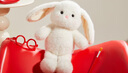 名創(chuàng)優(yōu)品（MINISO）塔妮兔乖乖坐姿公仔毛絨玩具玩偶抱枕娃娃送女友告白生日禮物女 曬單實拍圖