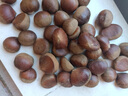 探味先生丹東板栗 新鮮栗子 生板栗 產(chǎn)地直發(fā) 新鮮蔬菜 時(shí)令生鮮 凈重 4.5斤 中果 曬單實(shí)拍圖