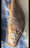 GUO LIAN國聯(lián) 三去黃花魚2條 共凈重2斤國產(chǎn)寧德東海大黃魚 海鮮水產(chǎn)生鮮 曬單實拍圖