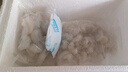 鮮享純【新貨】新鮮大蝦仁活蝦現剝開(kāi)背去蝦線(xiàn)冷凍白蝦仁海蝦仁海鮮 【8-10cm】特大蝦仁 3斤(凈重) 曬單實(shí)拍圖