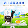 小西牛 青藏奶源慕拉酸奶160g*10袋整箱5個(gè)口味各2袋 源頭直發(fā) 曬單實(shí)拍圖