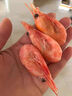 朵芙【頭籽北極蝦】4斤北極甜蝦 熟凍冰蝦元寶蝦腹籽甜蝦生鮮蝦類禮盒 禮盒90-120精挑高頭籽 4斤(凈重) 曬單實(shí)拍圖