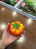 蘇泊爾（SUPOR）電燉盅電燉鍋隔水燉煮家用煲湯鍋燕窩燉盅4.5L燉湯鍋蒸燉一體多功能鍋DZ25FC873 曬單實拍圖