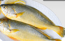 GUO LIAN國聯(lián)三去黃花魚(yú)2條共凈重2斤國產(chǎn)寧德東海大黃魚(yú)中秋聚餐海鮮食材 曬單實(shí)拍圖