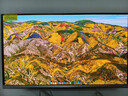 飛利浦EVNIA弈威 27英寸4K240Hz 硬件護眼QD-OLED 色準＜1 滿血DP2.1光效音響 國補 電競顯示器27M2N8800 曬單實拍圖