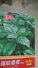 【種它沒(méi)蚊子】香葉天竺葵籽防蚊子盆栽室內外陽(yáng)臺植物 驅蚊草種子/包約500粒 3包 曬單實(shí)拍圖
