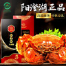 【禮券】湖塘煙雨 陽(yáng)澄湖大閘蟹禮品卡螃蟹卡券禮券提貨卡公5母4兩4對中秋節送禮盒海鮮 曬單實(shí)拍圖