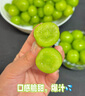 京覓 晴王陽光葡萄 4.5斤 單果15g起 玫瑰香印青提 當(dāng)季水果源頭直發(fā) 曬單實(shí)拍圖