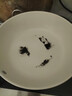 【陶瓷釉不粘鍋】家用不沾無(wú)油煙平底炒菜鍋燃氣灶電磁爐通用YLM 【2025升級款白色陶瓷】下單即送鍋蓋 28cm 燃氣灶電磁爐通用 曬單實(shí)拍圖