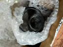 施錦德國品質嬰兒量杯帶刻度小號寶寶兒童喝藥10ml廚房家用烘培測量杯 量杯 30ml/黑色(1只裝) 曬單實拍圖