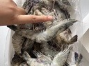 北海灣 高品質(zhì)活凍黑虎蝦 超大蝦類(lèi)大蝦生鮮老虎蝦冰鮮印度海蝦盒裝送禮 16-19cm【高品質(zhì)】 1000g(凈重) 曬單實(shí)拍圖
