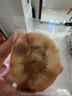 銀耳小米山藥餅無(wú)蔗糖傳統粗糧早餐營(yíng)養食品代餐飽腹輕食銀耳糕點(diǎn) 20包 藥食同源 健康飽腹 獨立包裝一口一個(gè)官方正品 曬單實(shí)拍圖