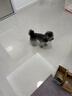 愛(ài)肯拿（ACANA）狗糧 鴨肉梨成犬幼犬 低敏去淚痕全價(jià)通用原裝進(jìn)口糧2kg效期26/11 曬單實(shí)拍圖