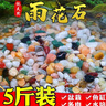 南京雨花石原石天然清倉鵝卵石石頭花盆魚缸裝飾彩石頭彩色小石子 1-2厘米（1斤60到80顆） 曬單實拍圖