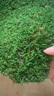柯必達青苔蘚鮮活苔蘚微景觀(guān)植物盆景盆栽水陸缸假山草造景材料白 大灰蘚(15*8)cm 2盒 曬單實(shí)拍圖