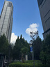 綠林（GREENER）家用工具箱套裝電工五金工具螺絲刀維修鉗子卷尺 曬單實拍圖