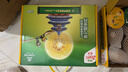 佳沛（zespri）新西蘭  陽(yáng)光金奇異果10粒禮盒巨大果單果約144-175g 水果 獼猴桃 曬單實(shí)拍圖