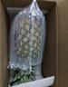 佳農(nóng) 黑鉆菠蘿1粒裝 菲律賓鳳梨 凈重2斤起 新鮮水果 源頭直發(fā) 包郵 曬單實(shí)拍圖