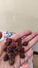 同仁堂品牌 北京同仁堂 龍眼肉500g 即食龍眼肉干去皮去核桂圓肉干 曬單實(shí)拍圖