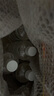 秝客（lefeke）75%酒精乙醇消毒液 家用消殺免洗手速干 可灌裝噴霧500ml 5瓶 曬單實(shí)拍圖